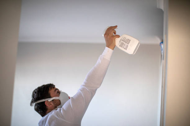 Best Home Mold Removal  in Seven Fields, PA